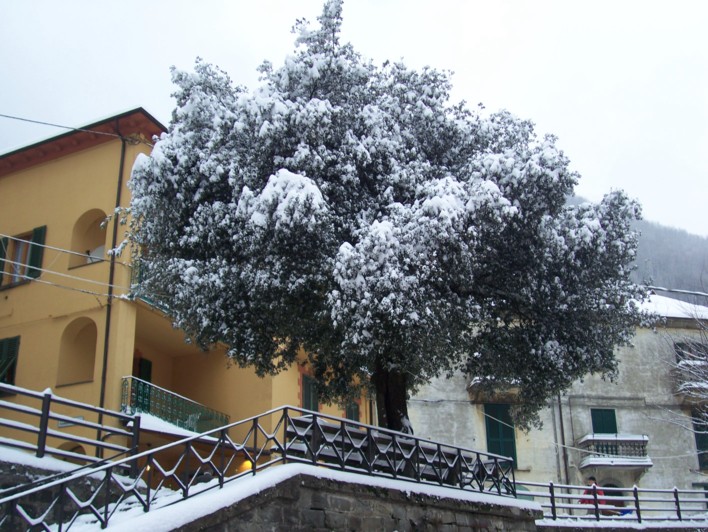  Image name: molino 2008 285.jpg 
 width: 708 pixel 
 height: 532 pixel 
 Size: 132991 bytes 
 Click to enlarge 